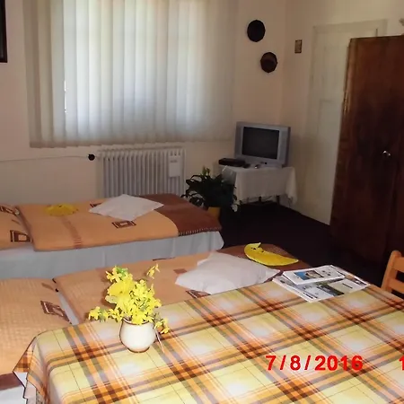Apartman V Secesni Vile Upice Exterior photo